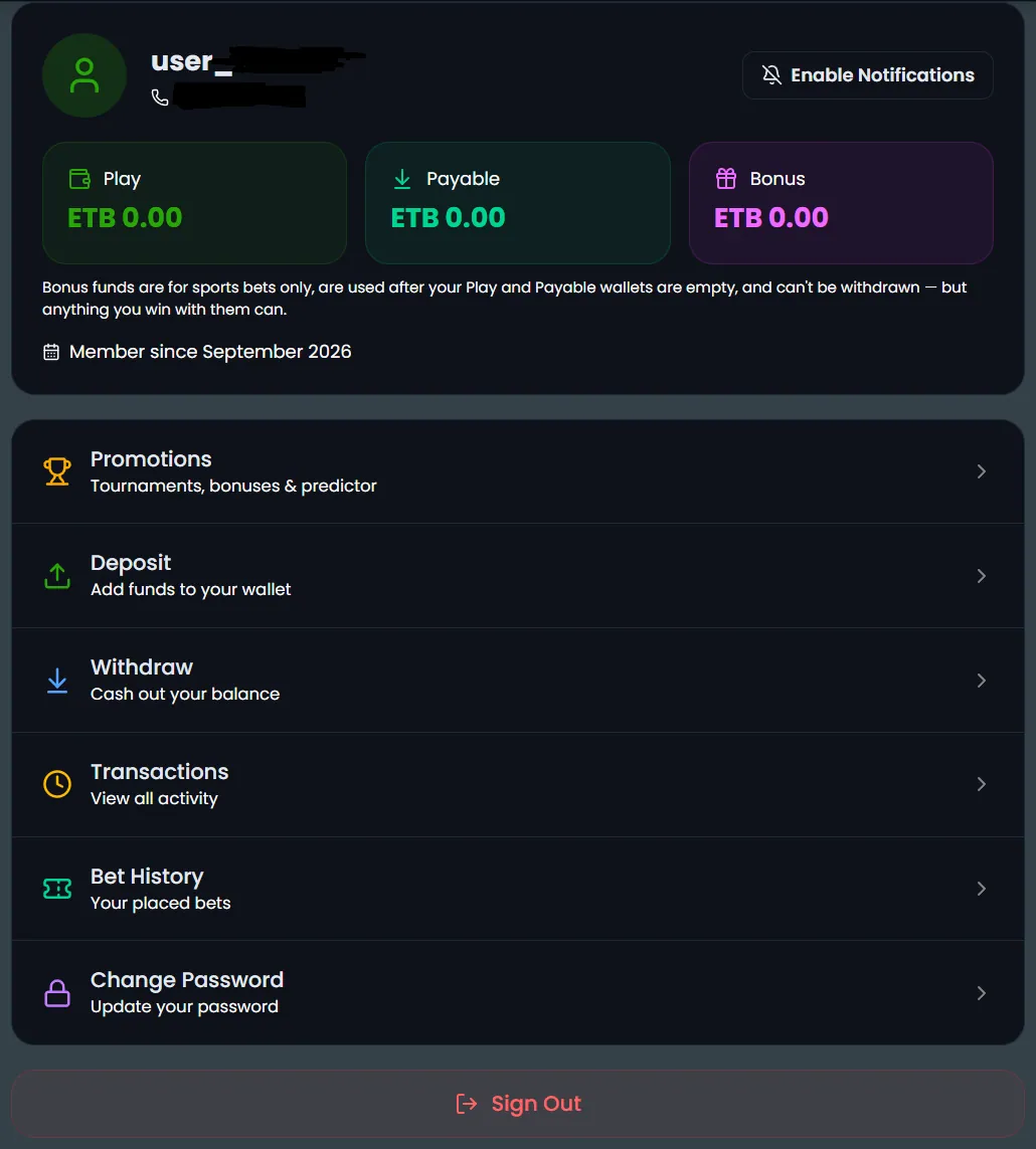 Zoran Bet account page showing Play, Payable and Bonus wallet balances in ETB