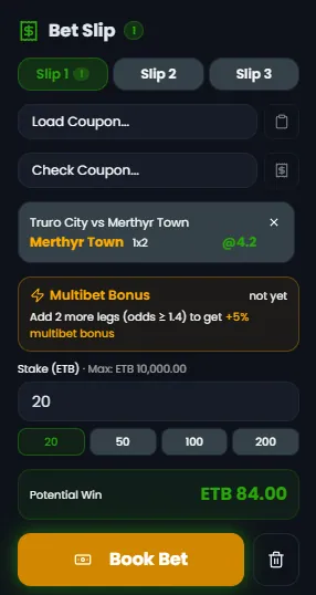 Zoran Bet bet slip panel showing stake field, quick stake buttons, potential win and a Book Bet button