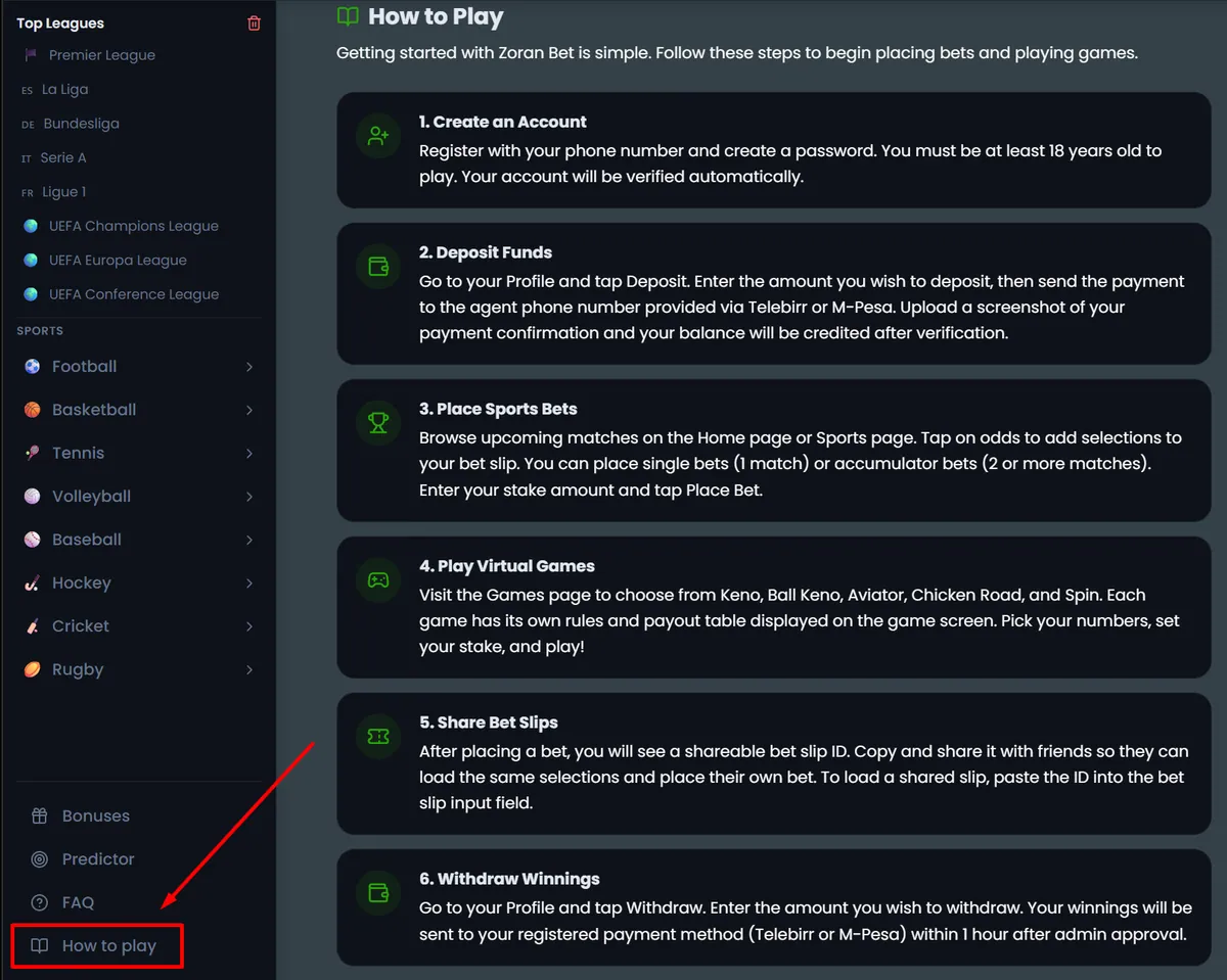 Zoran Bet sidebar showing Top Leagues and the full sport list including Football, Basketball, Tennis, Volleyball, Baseball, Hockey, Cricket and Rugby